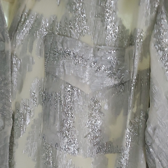 Anthropologie Silver and Cream Blouse - Picture 5 of 6